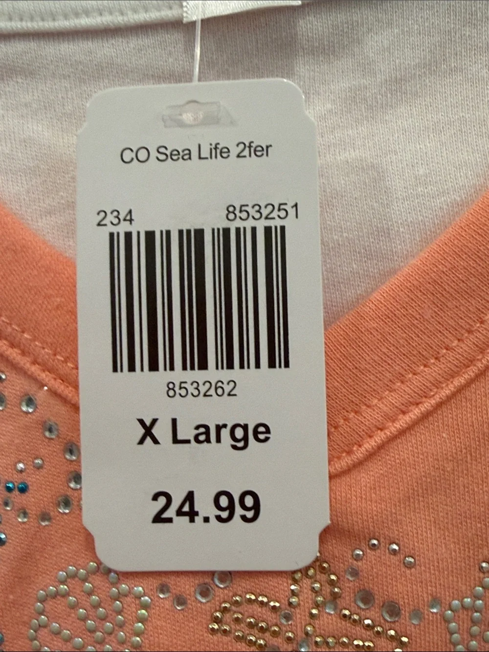 Embellished V-Neck Long Sleeve Top in Coral Peach by
